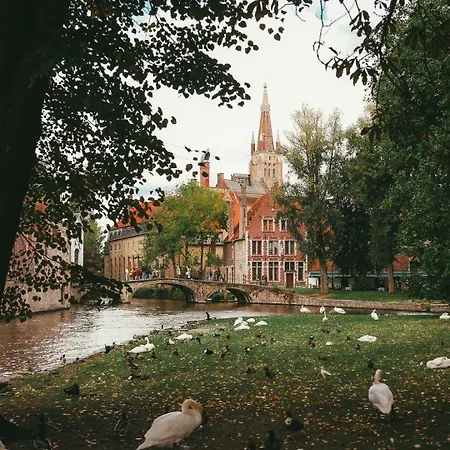 Bonnie Bruges