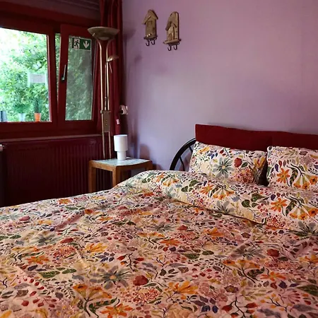 Séjour chez l'habitant Bonnie Bruges
